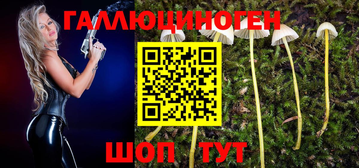 Галлюциногенные грибы прущие грибы Ипатово